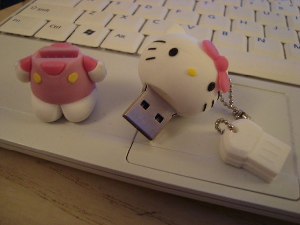Kitty stick.jpg