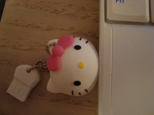 Kitty stick 1.jpg
