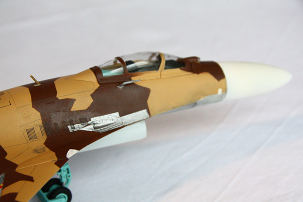 Su-37 014 copy.jpg