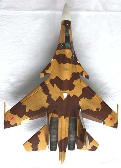Su-37 029 copy.jpg