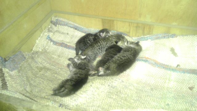 IMAG0062.jpg