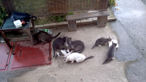 2013-10-01_09-15-00_155.jpg