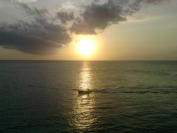 P300310_19.49_[01].jpg