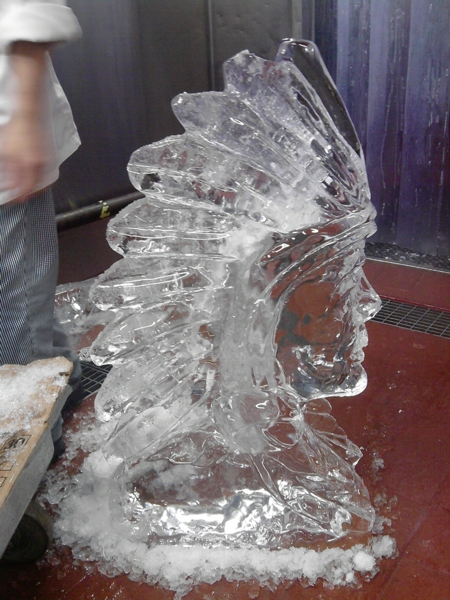 P251009_12.46.jpg