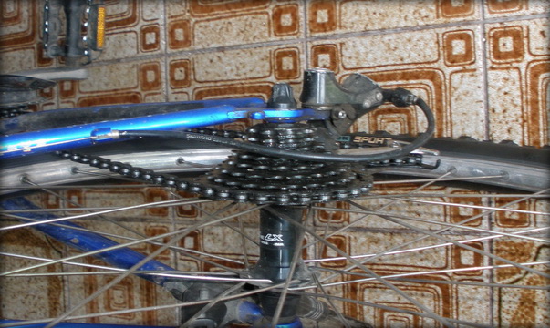 P7120143.JPG