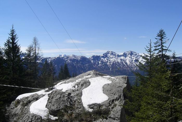 Resize of CIMG2760.JPG