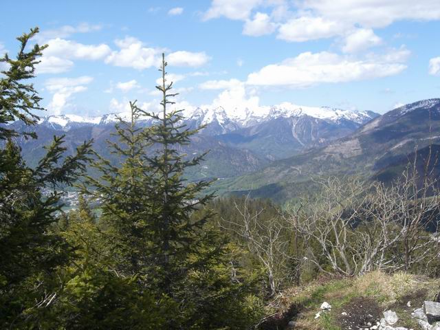 Resize of CIMG2853.JPG