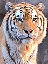 Korisnikov avatar