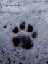Korisnikov avatar