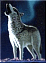 Korisnikov avatar